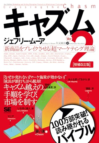 キャズム Ver.2の書影