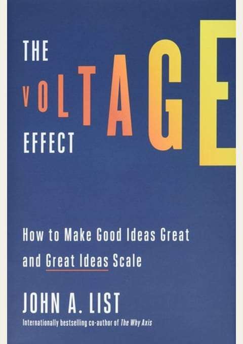 『THE VOLTAGE EFFECT 成功を拡大する方法』書評・要約の書影